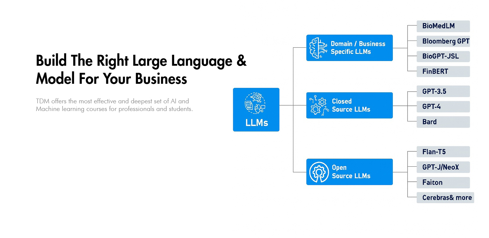 Domain-specific, closed-source, and open-source large language models